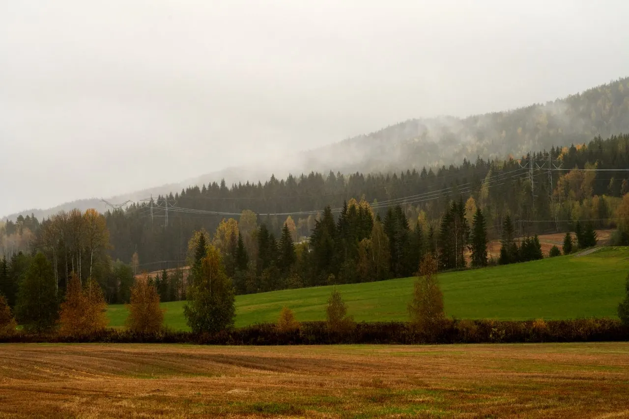 Ground Mount Solar Panels: A Guide for Rural Properties