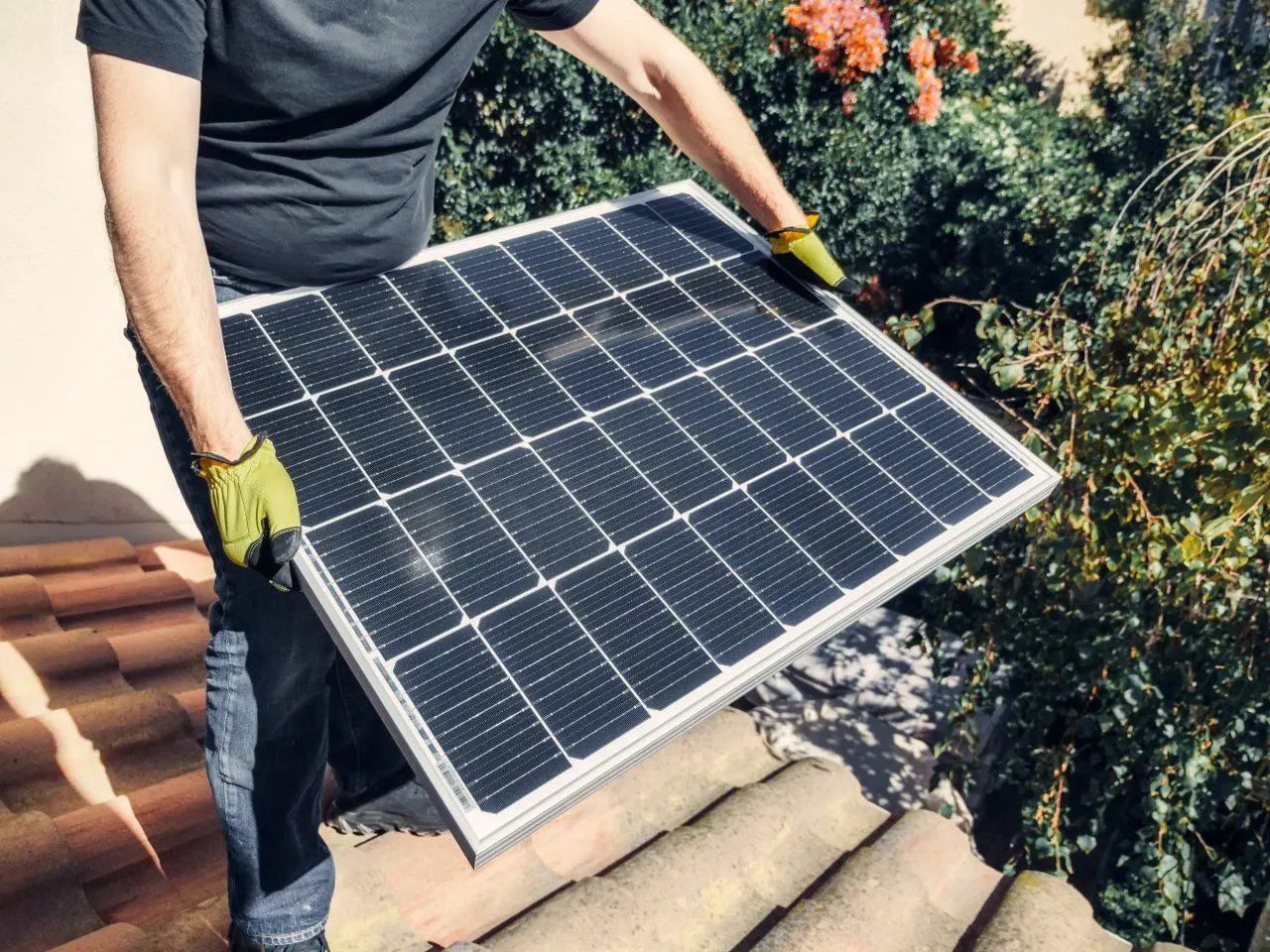 How Much Can Solar Panels Save You in East Anglia?